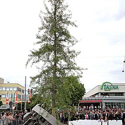 Bildnachweis: Michael Nagy/Presseamt München